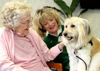 pet-therapy-stress-management-technique